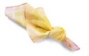 Bernard-album/knoop_zakdoek.JPG