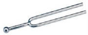 webassets/Tuning-fork.JPG